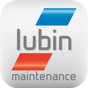 Logotype de l'entreprise Lubin Maintenance avec base line